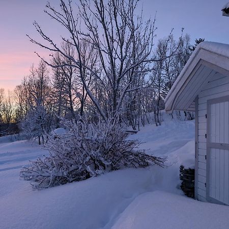 Cabin Magic On Senja, Atmosphere Like A Fairytale Botnhamn Экстерьер фото