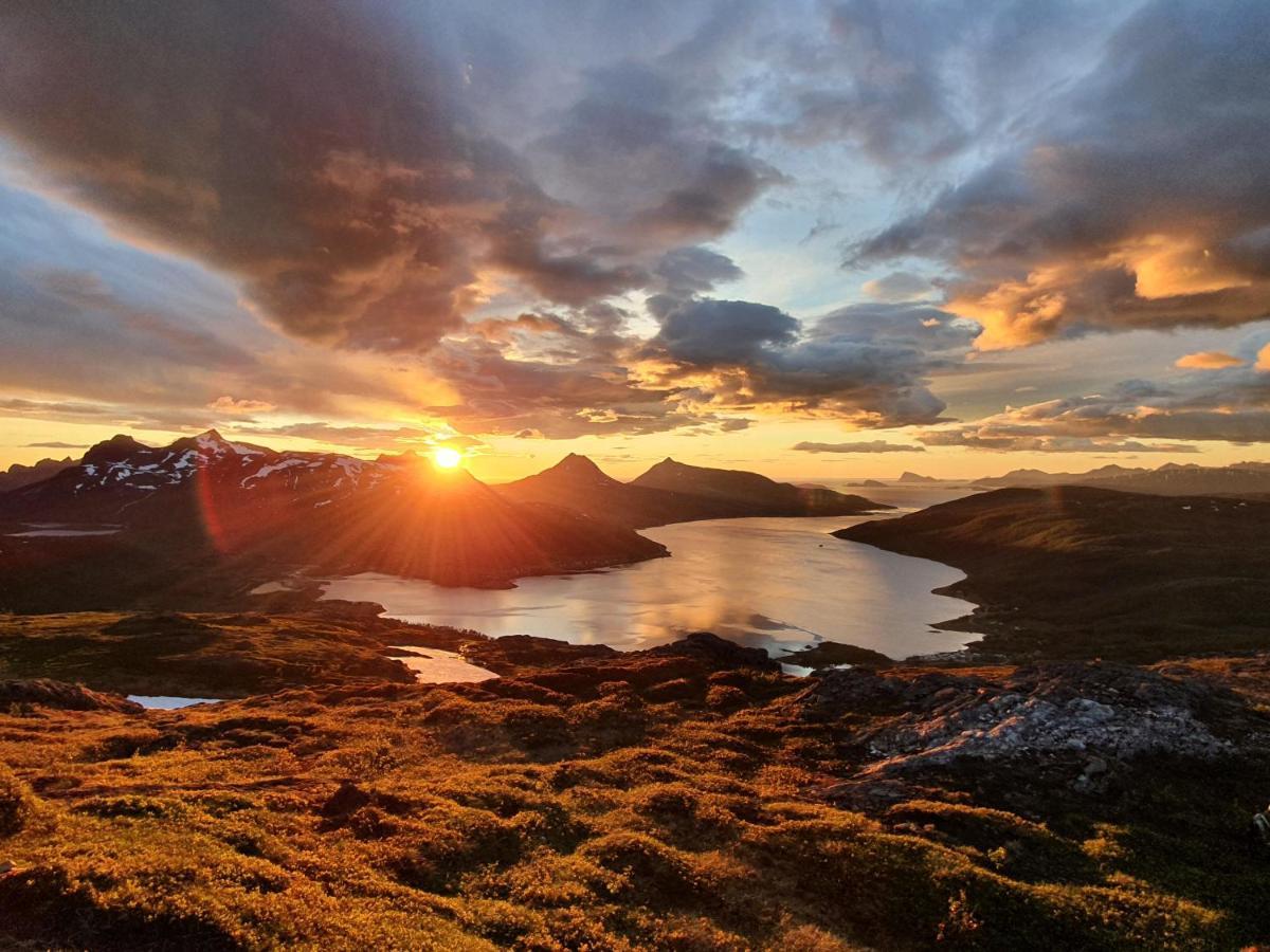 Cabin Magic On Senja, Atmosphere Like A Fairytale Botnhamn Экстерьер фото