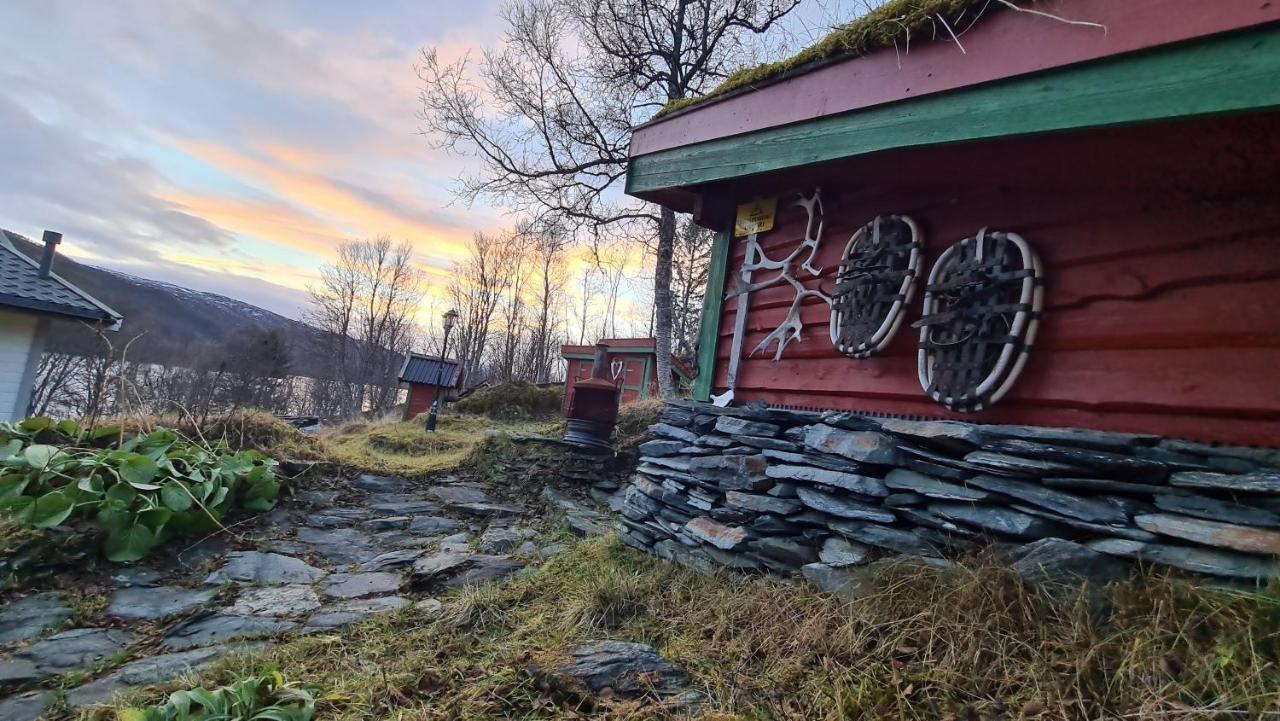 Cabin Magic On Senja, Atmosphere Like A Fairytale Botnhamn Экстерьер фото