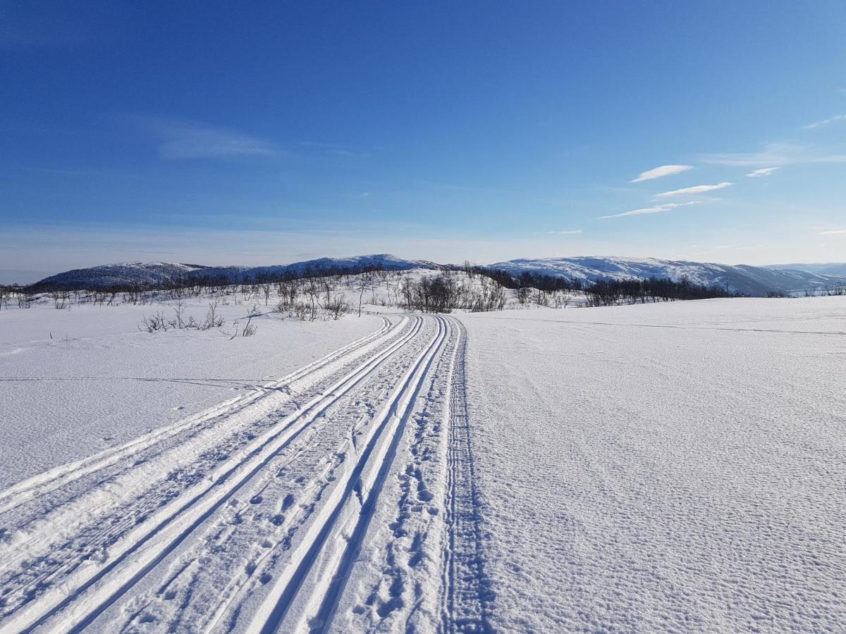 Cabin Magic On Senja, Atmosphere Like A Fairytale Botnhamn Экстерьер фото