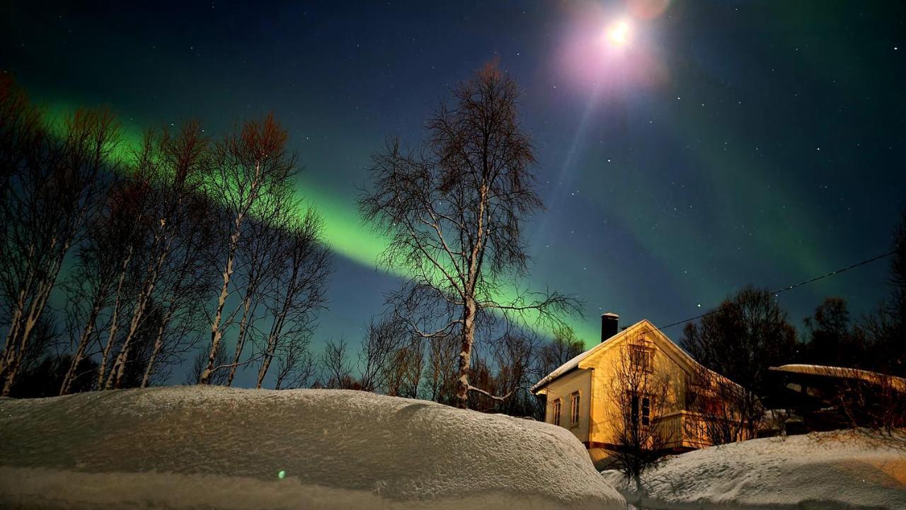 Cabin Magic On Senja, Atmosphere Like A Fairytale Botnhamn Экстерьер фото