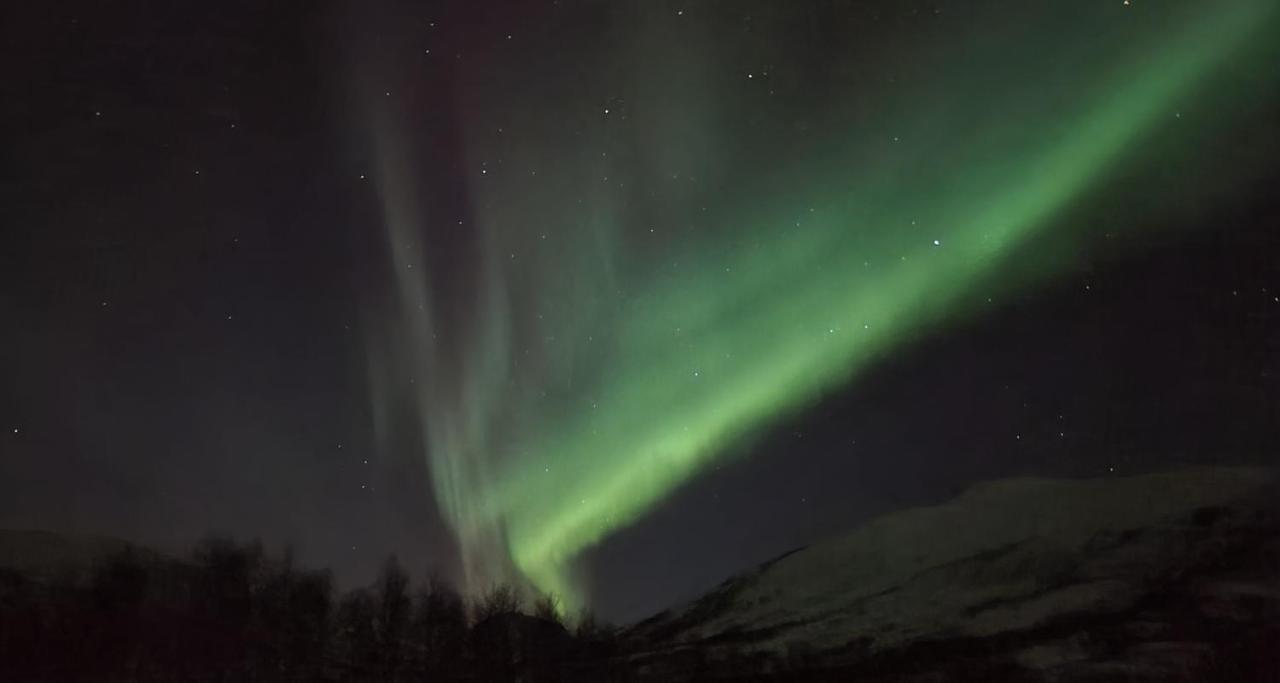 Cabin Magic On Senja, Atmosphere Like A Fairytale Botnhamn Экстерьер фото