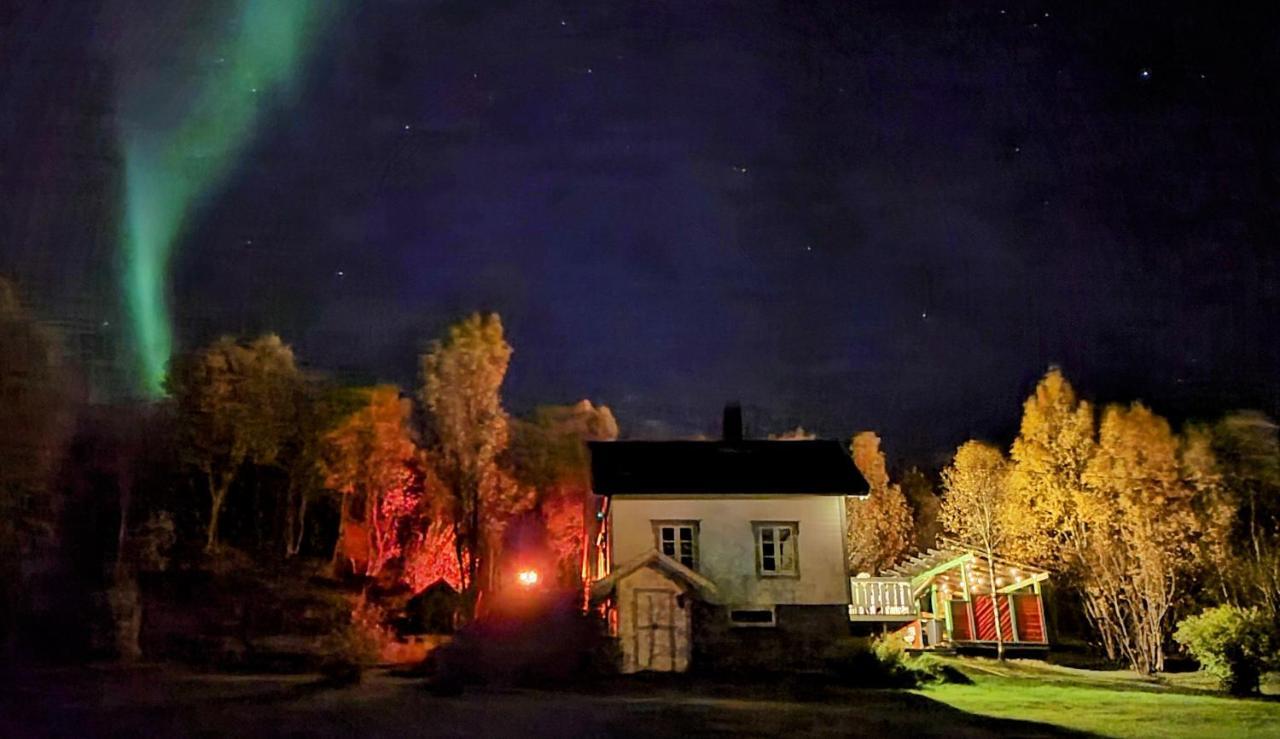 Cabin Magic On Senja, Atmosphere Like A Fairytale Botnhamn Экстерьер фото