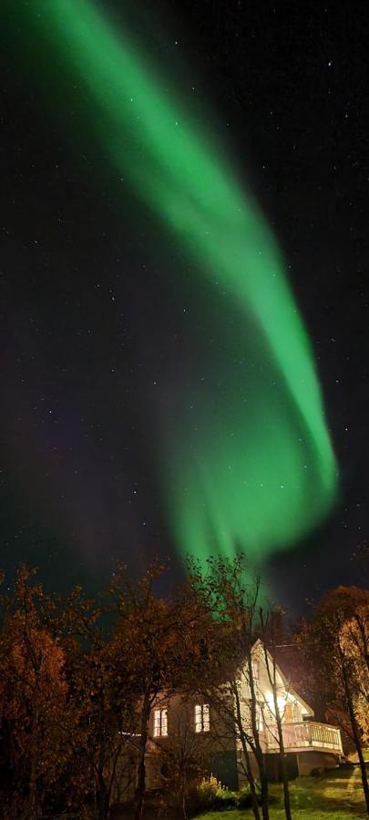 Cabin Magic On Senja, Atmosphere Like A Fairytale Botnhamn Экстерьер фото