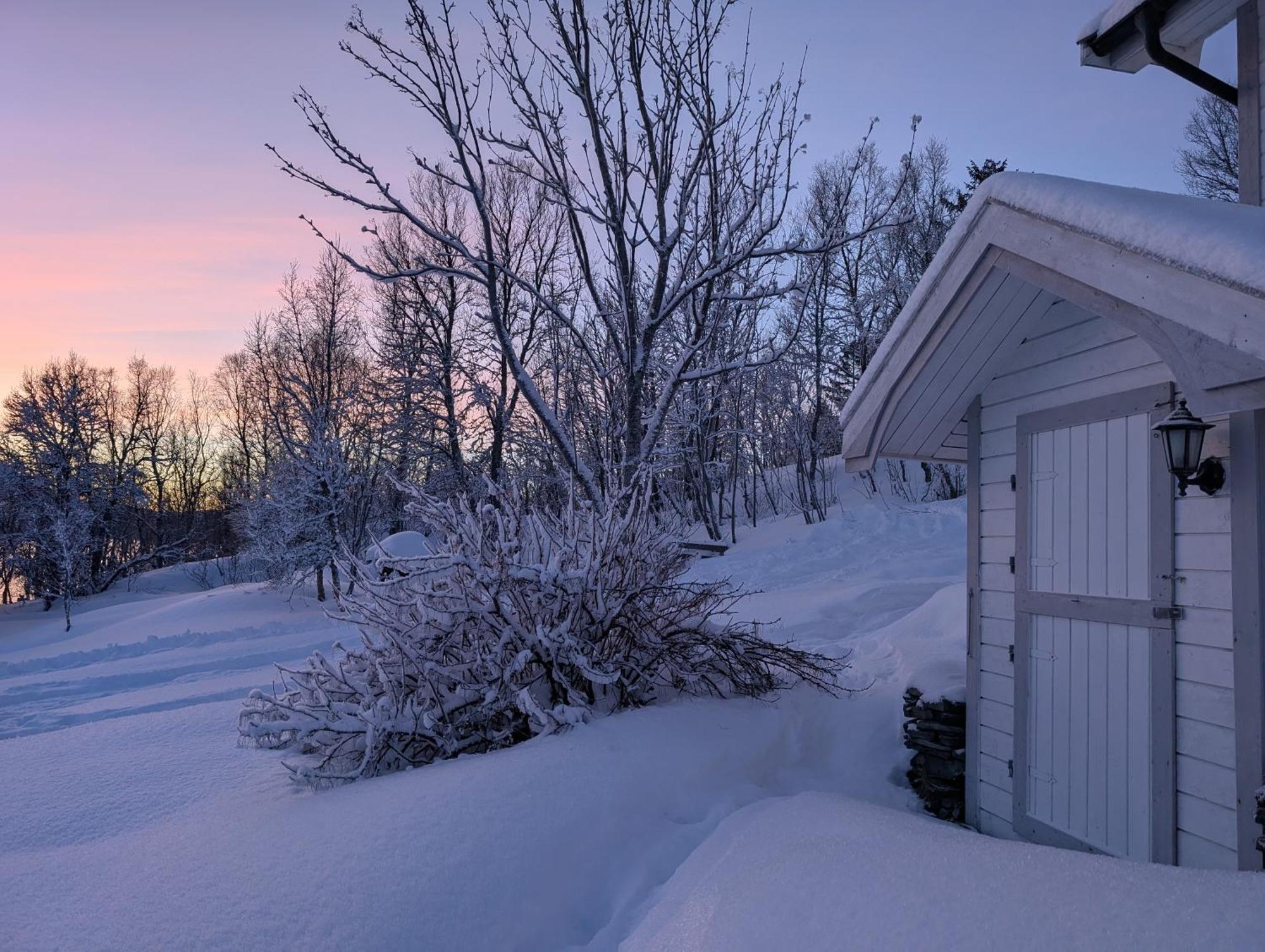 Cabin Magic On Senja, Atmosphere Like A Fairytale Botnhamn Экстерьер фото
